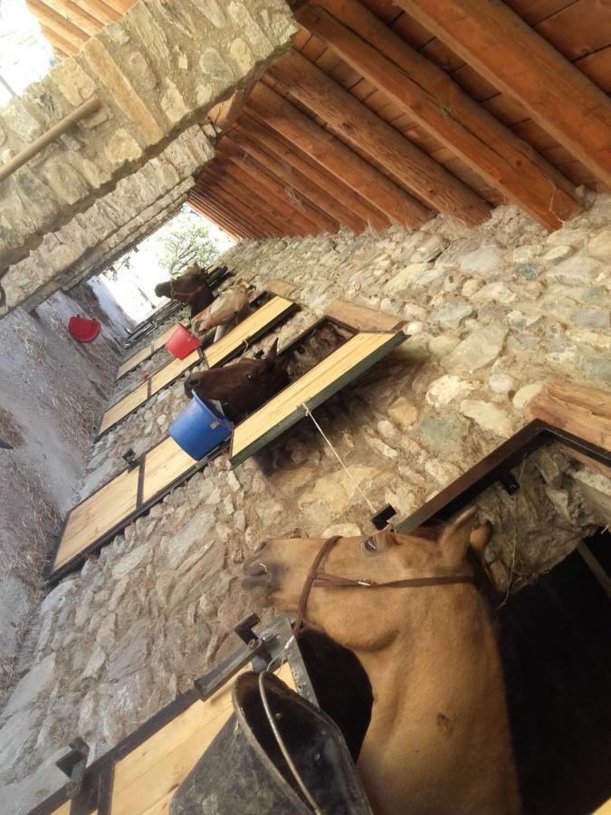 Agriturismo Al Pra Di Muriet Susa Bagian luar foto